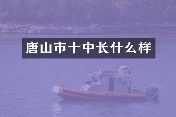 唐山市十中长什么样