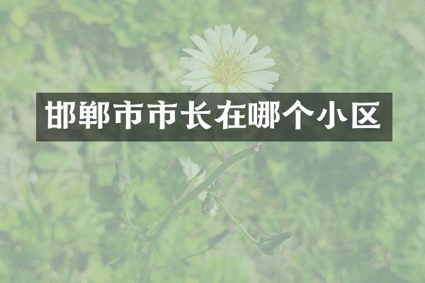 邯郸市市长在哪个小区