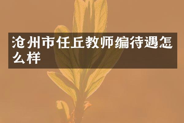 沧州市任丘教师编待遇怎么样