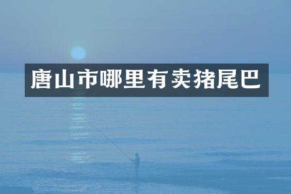 唐山市哪里有卖猪尾巴