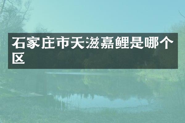 石家庄市天滋嘉鲤是哪个区