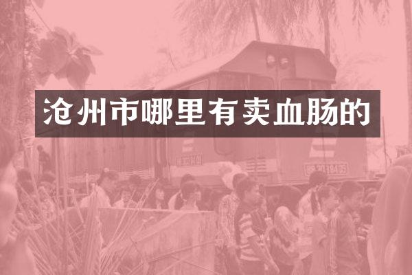 沧州市哪里有卖血肠的