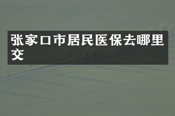 张家口市居民医保去哪里交