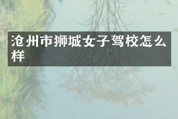 沧州市狮城女子驾校怎么样