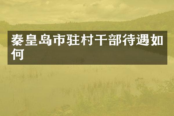 秦皇岛市驻村干部待遇如何