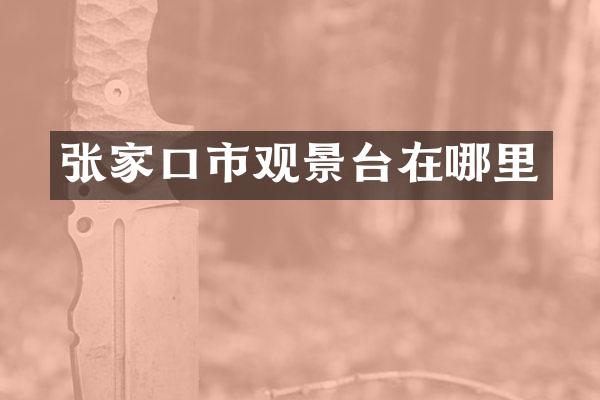 张家口市观景台在哪里