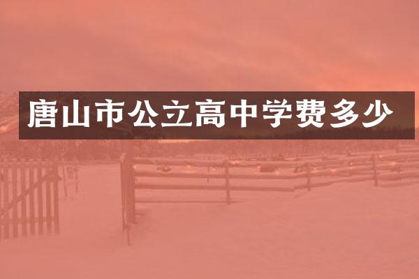 唐山市公立高中学费多少