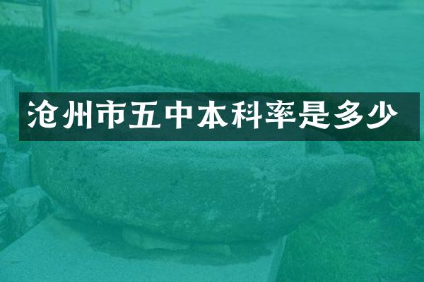 沧州市五中本科率是多少