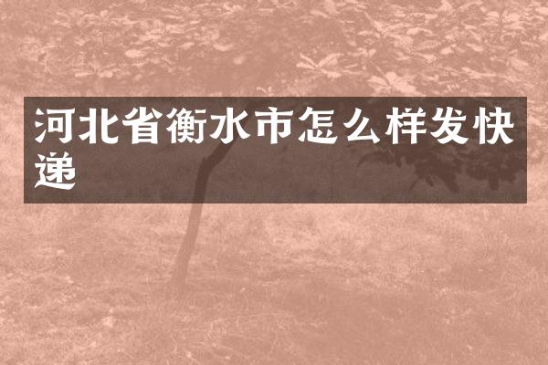 河北省衡水市怎么样发快递
