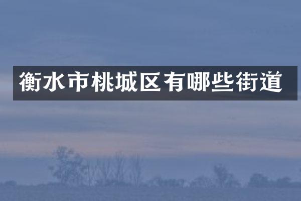 衡水市桃城区有哪些街道