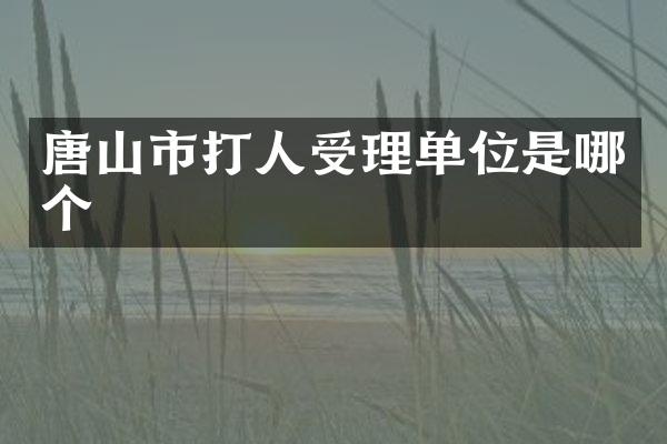 唐山市打人受理单位是哪个