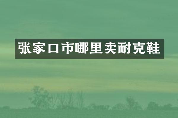 张家口市哪里卖耐克鞋
