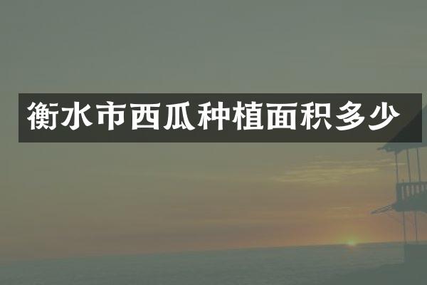 衡水市西瓜种植面积多少