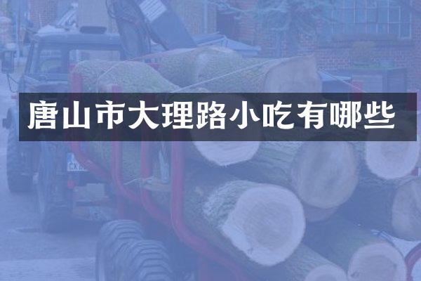 唐山市大理路小吃有哪些
