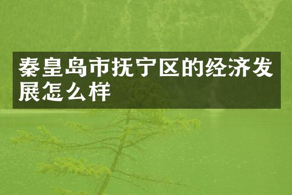 秦皇岛市抚宁区的经济发展怎么样