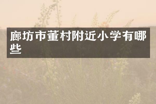 廊坊市董村附近小学有哪些