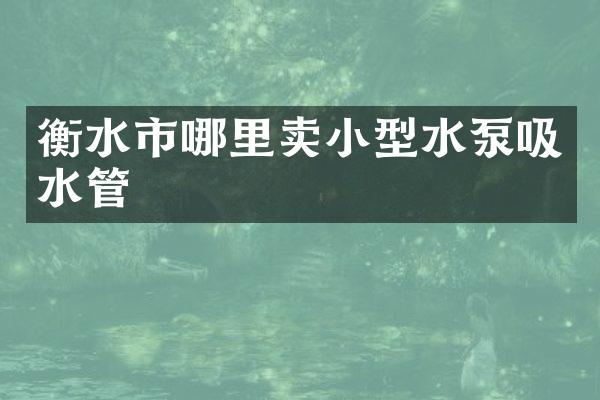 衡水市哪里卖小型水泵吸水管
