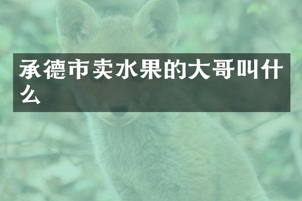 承德市卖水果的大哥叫什么