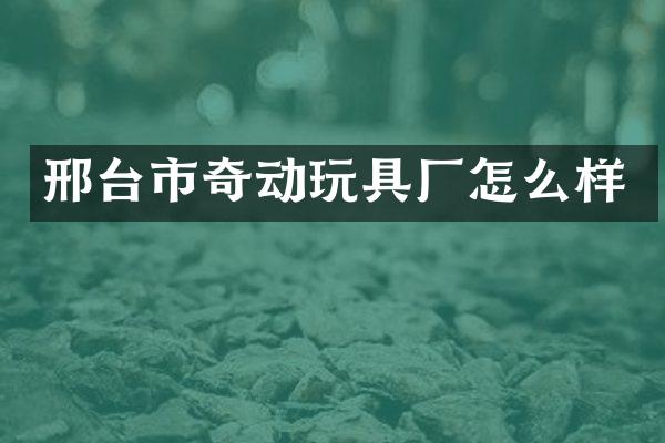 邢台市奇动玩具厂怎么样