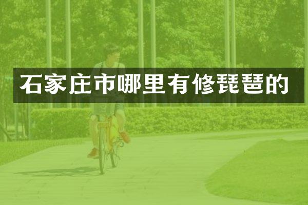 石家庄市哪里有修琵琶的