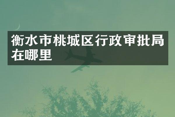 衡水市桃城区行政审批局在哪里