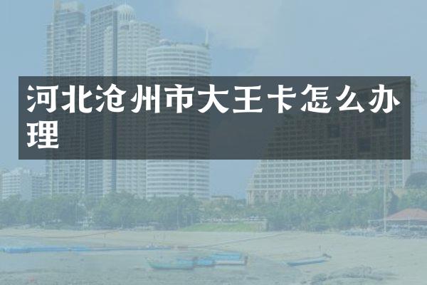 河北沧州市大王卡怎么办理