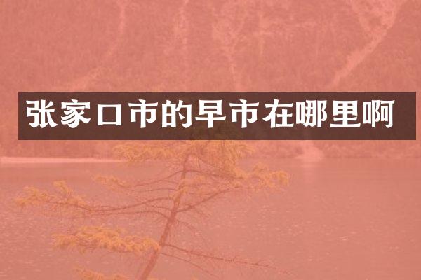 张家口市的早市在哪里啊