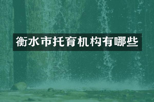 衡水市托育机构有哪些