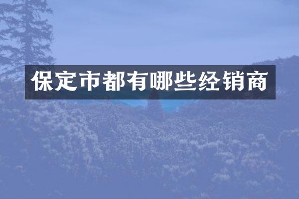 保定市都有哪些经销商