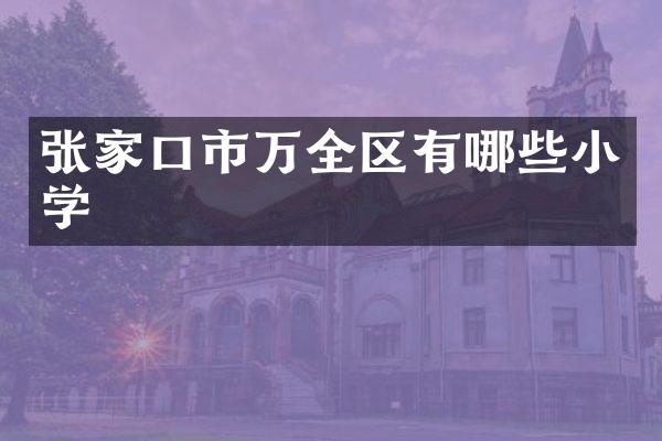 张家口市万全区有哪些小学