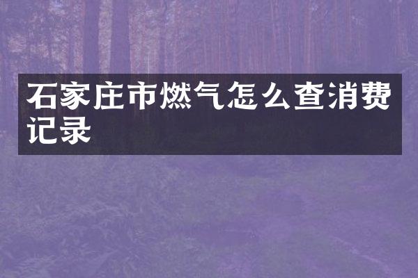 石家庄市燃气怎么查消费记录