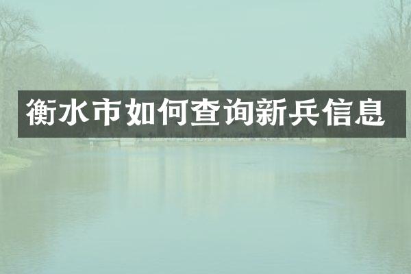 衡水市如何查询新兵信息