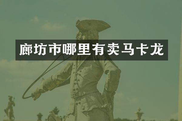 廊坊市哪里有卖马卡龙