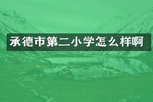 承德市第二小学怎么样啊