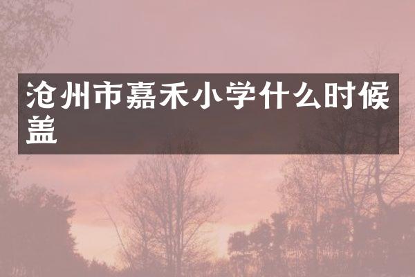 沧州市嘉禾小学什么时候盖