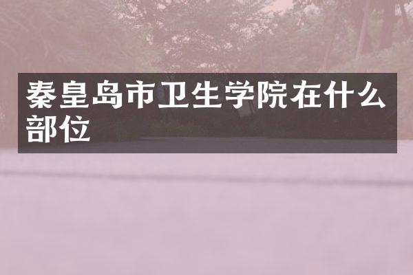 秦皇岛市卫生学院在什么部位