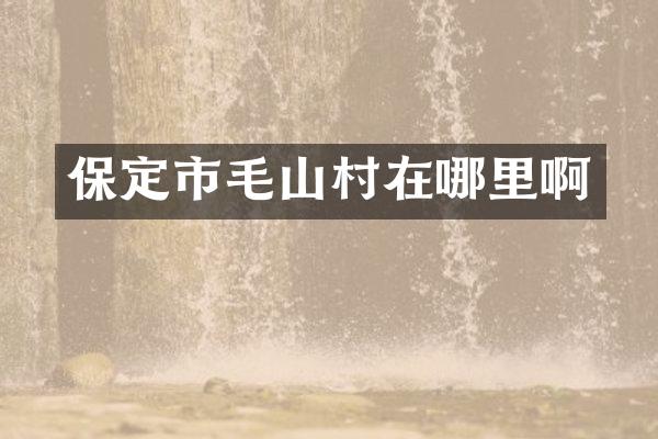 保定市毛山村在哪里啊