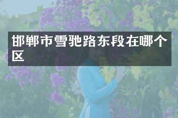 邯郸市雪驰路东段在哪个区