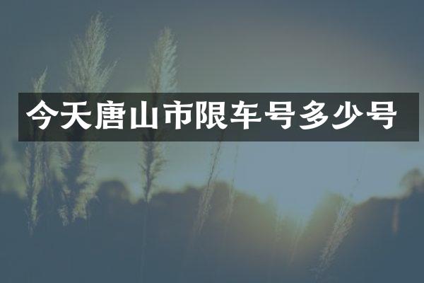 今天唐山市限车号多少号