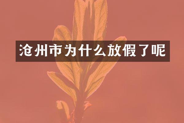 沧州市为什么放假了呢