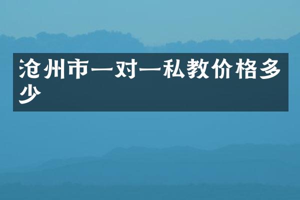 沧州市一对一私教价格多少