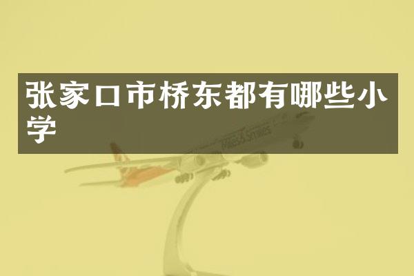 张家口市桥东都有哪些小学