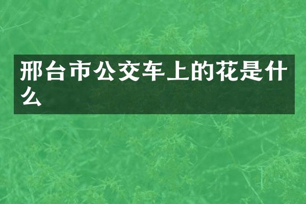 邢台市公交车上的花是什么
