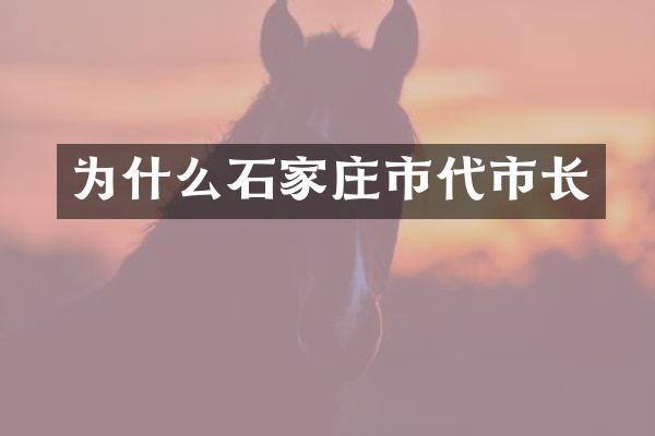 为什么石家庄市代市长