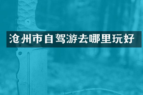 沧州市自驾游去哪里玩好