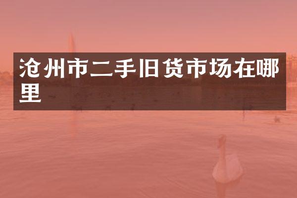 沧州市二手旧货市场在哪里