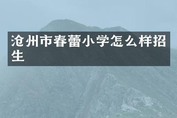 沧州市春蕾小学怎么样招生