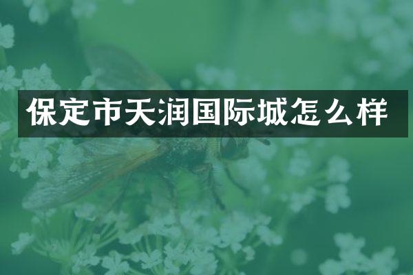 保定市天润国际城怎么样