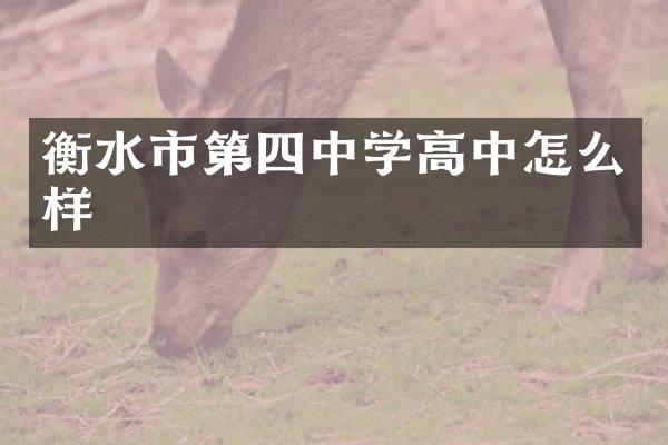 衡水市第四中学高中怎么样