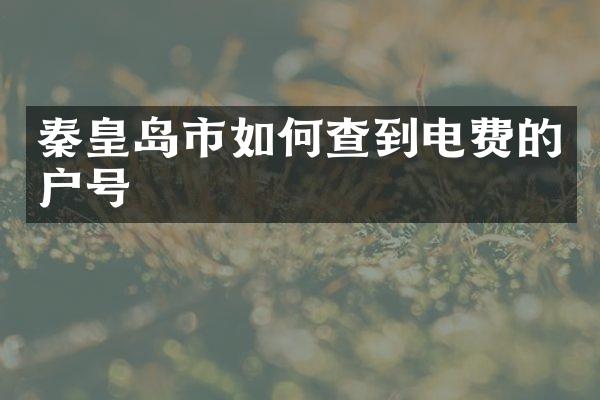 秦皇岛市如何查到电费的户号